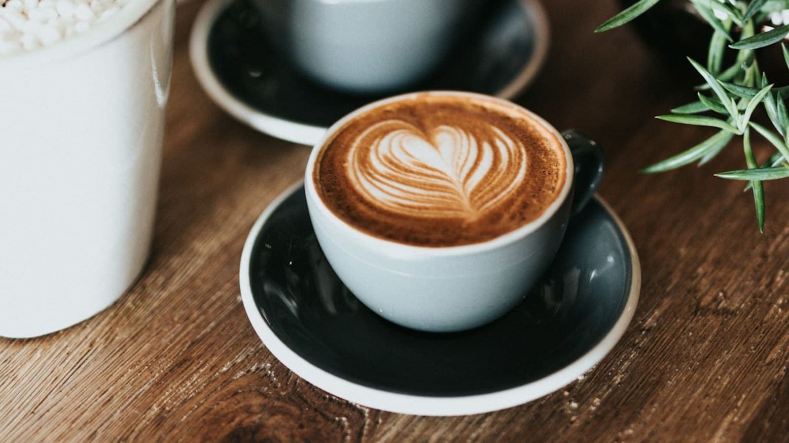 The Wellness Revolution You Can Sip: Fabula Coffee and the Low-Acid Path to Focused Well-Being